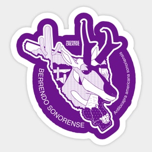 Berrendo Sonorense Sticker